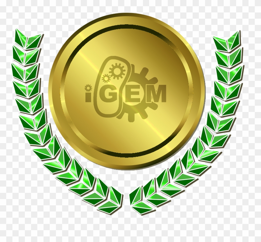 Accomplishments - International Genetically Engineered Machine - Full ...