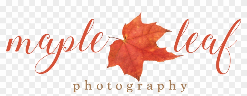 Maple Leaf Photography - Photographer #1233244