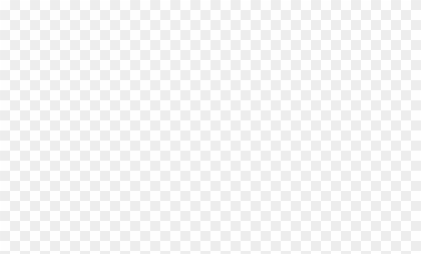   Birds With Rose Flowers #1233341