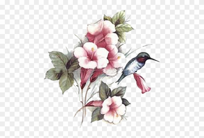 Vintage Roses, Bird Art, Flower Prints, Decals, Free - Ruby-throated Hummingbird #1233342
