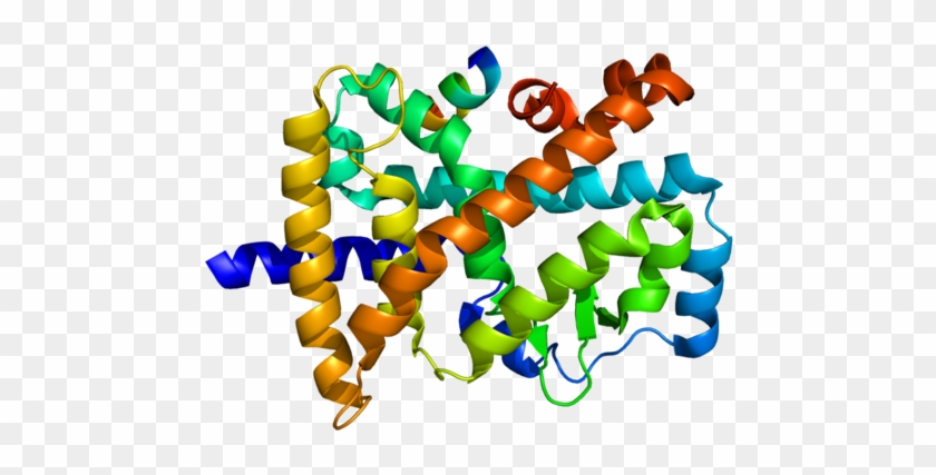 Identifiers - Rar Related Orphan Receptor #1233429