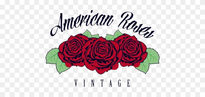 American Roses Vintage - Garden Roses #1233726