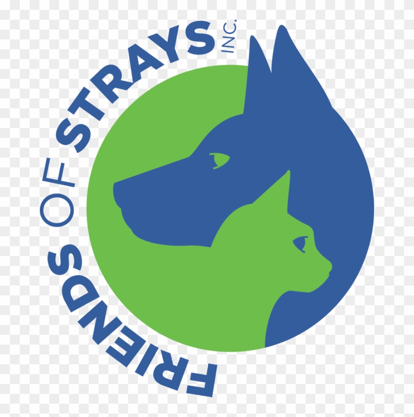 Friends Of Strays Animal Shelter - Friends Of Strays St Petersburg Fl #1233848