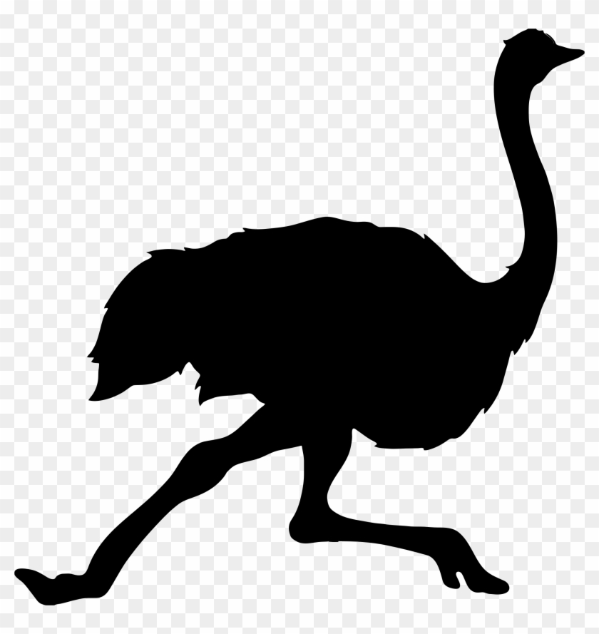 Big Image - Ostrich Silhouette #1234375