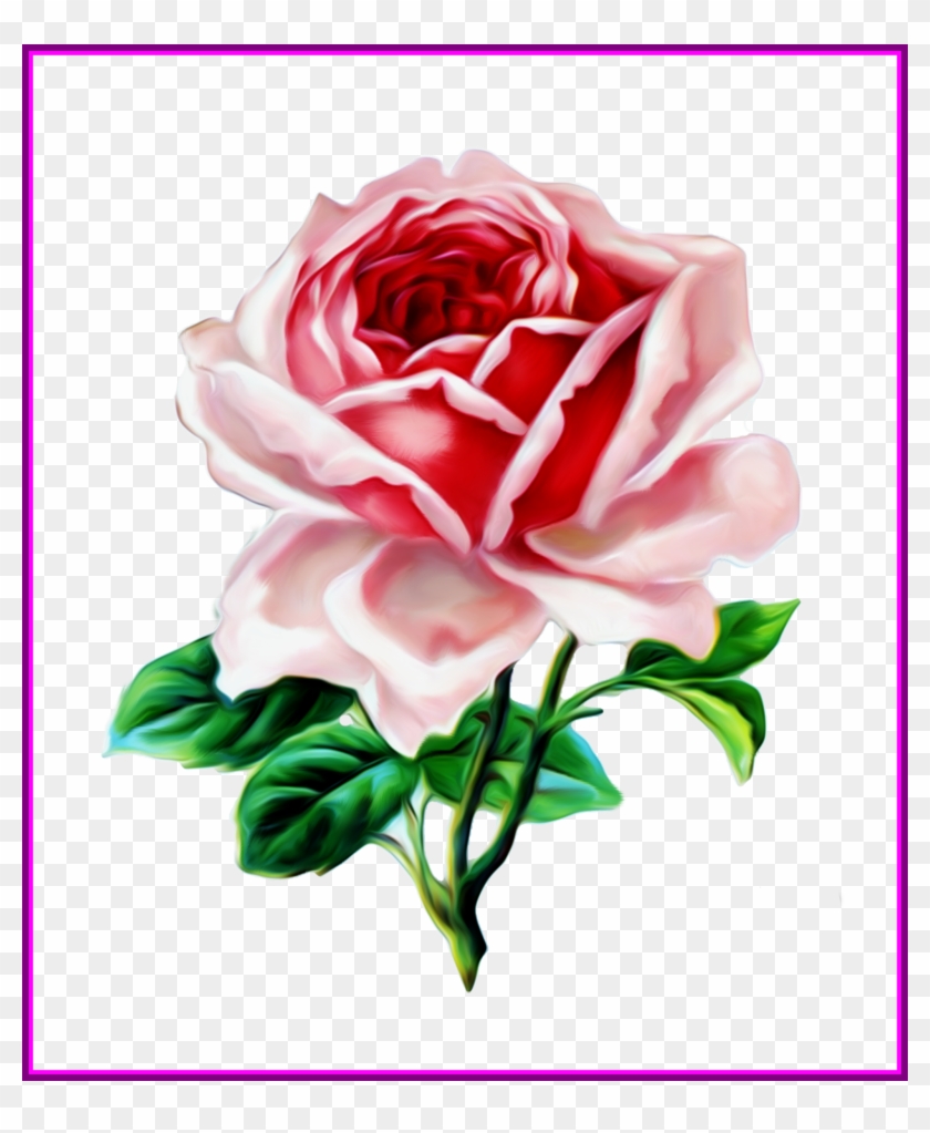 Red Rose Border Red Rose Border Corner Png Appealing - Red Rose Border Red Rose Border Corner Png Appealing #1234406