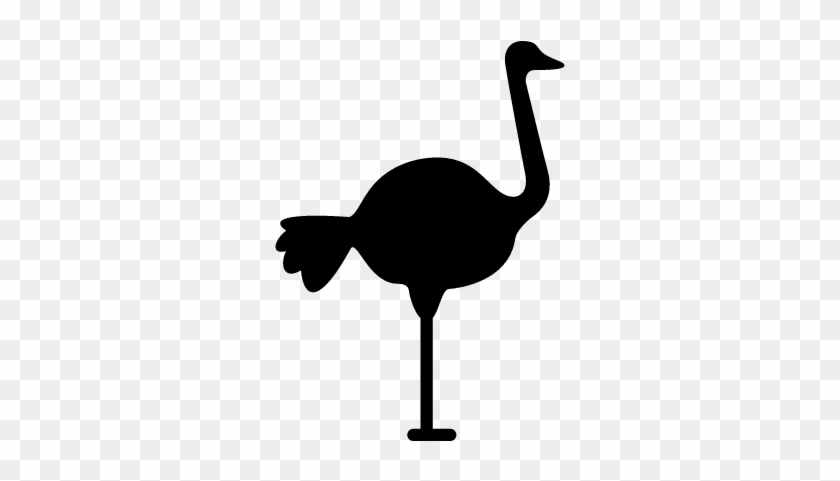 Ostrich Facing Right Vector - Ostrich Logo #1234398