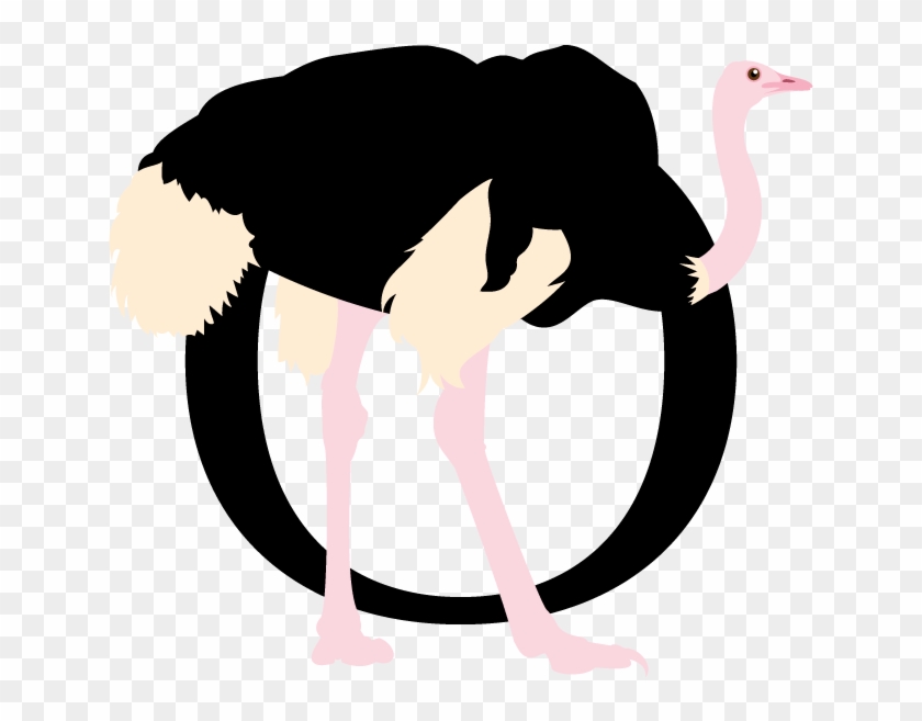 Ostrich Optima - Illustration #1234415