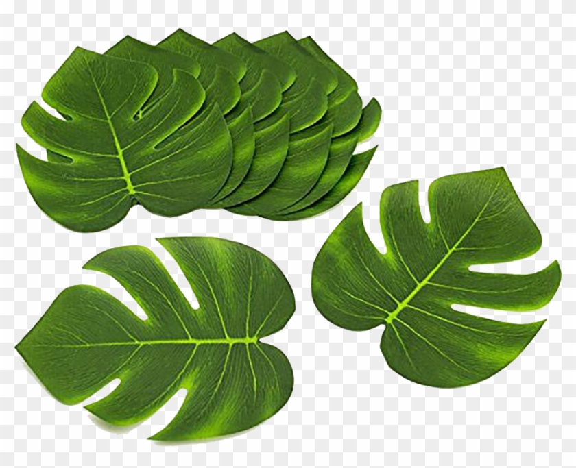 Green Leaves Png Background Clipart - Tropical Themed Party #1234652