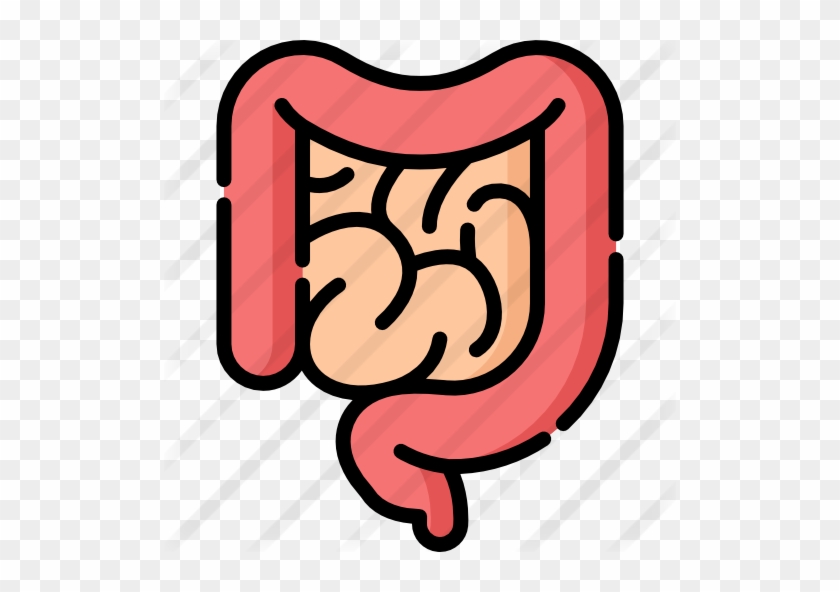 Intestine - Iconos De Intestino #1235055