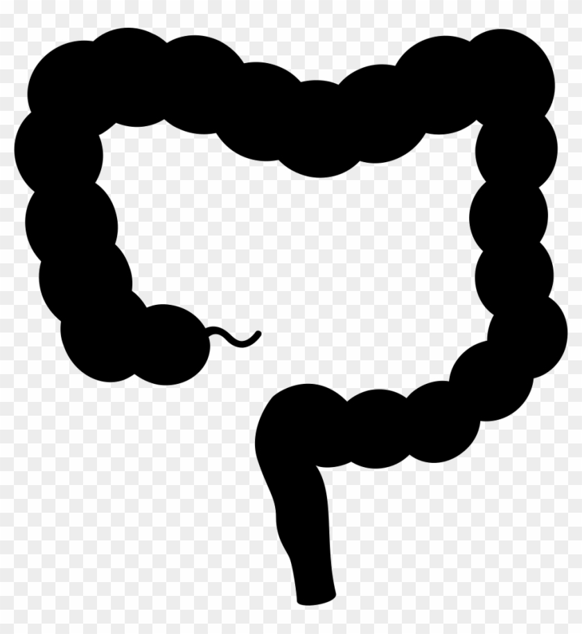 Intestine Comments - Intestine Vector Png #1235059