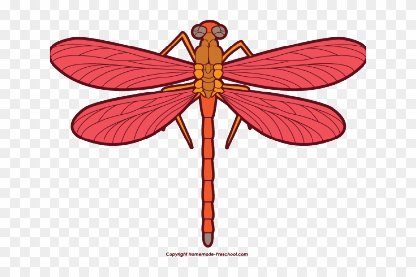 Dragon Fly Clipart - Clipart Dragon Fly #1235158