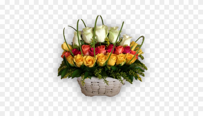 Ravishing Roses - Garden Roses #1235230