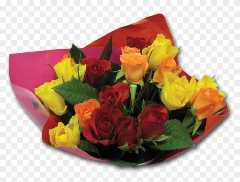 Garden Roses #1235312