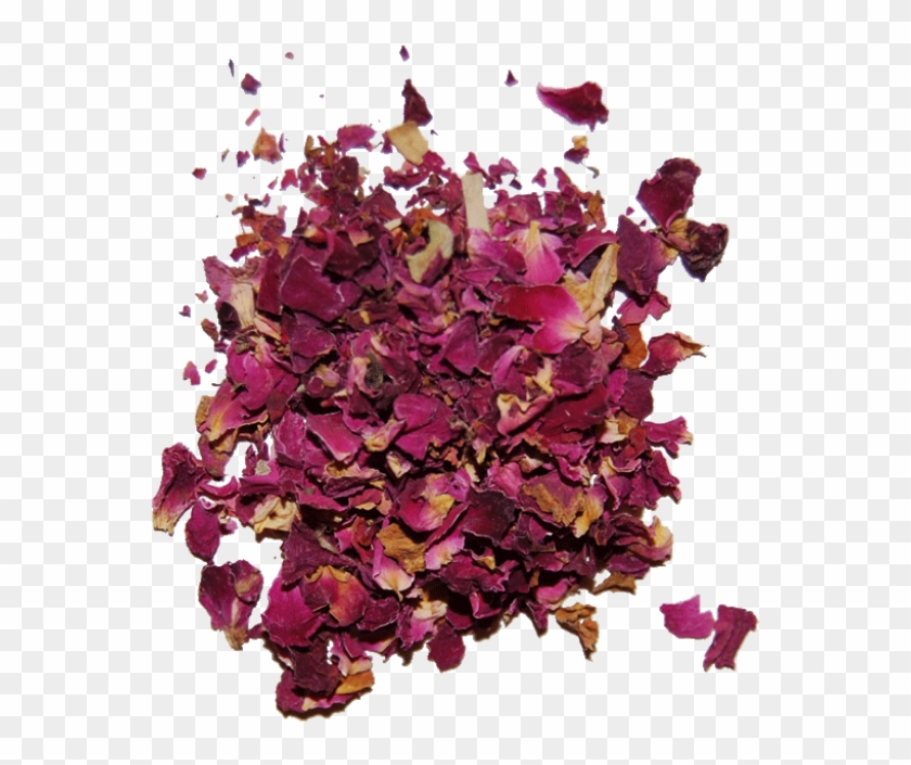 Red Rose Petals - Floral Design #1235325