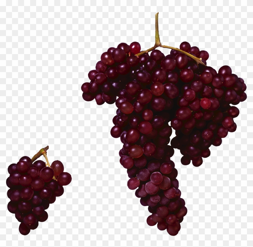 Grapes Clipart Red Grape - Red Grapes Png #1235345