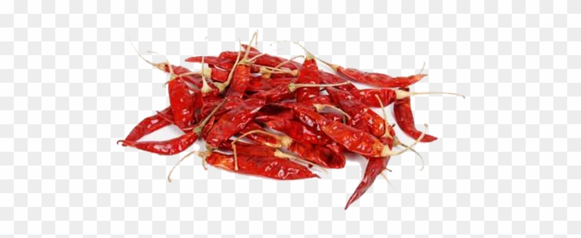 Red - Dried Red Chilli #1235377