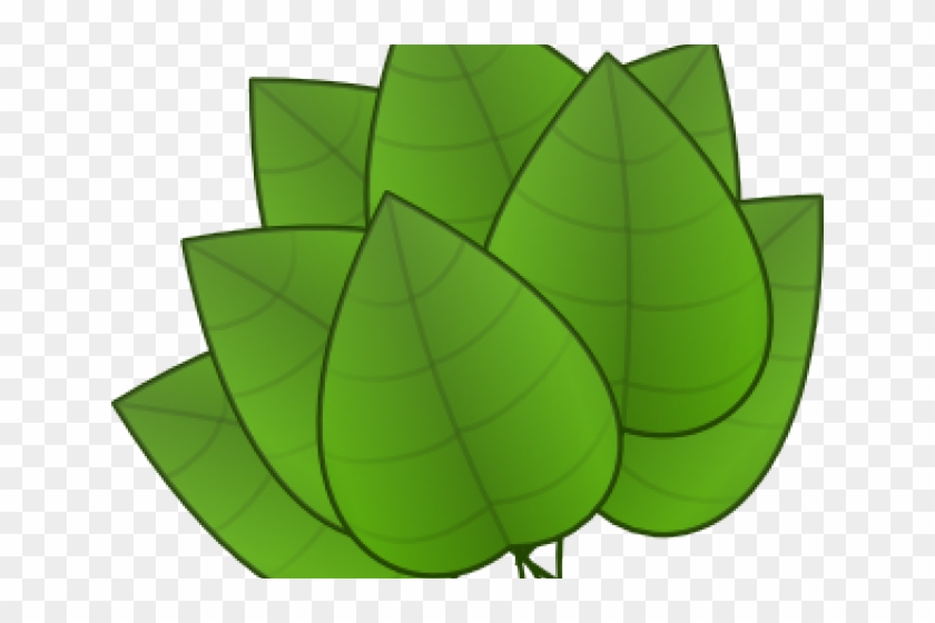 Foliage Clipart Rainforest Leave - Jungle Leaves Clip Art - Free  Transparent PNG Clipart Images Download
