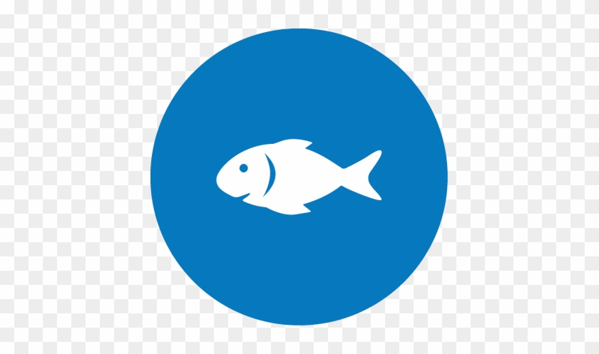 Commercial Fishing Blast Freezers - Dash Coin Logo Png #1235667