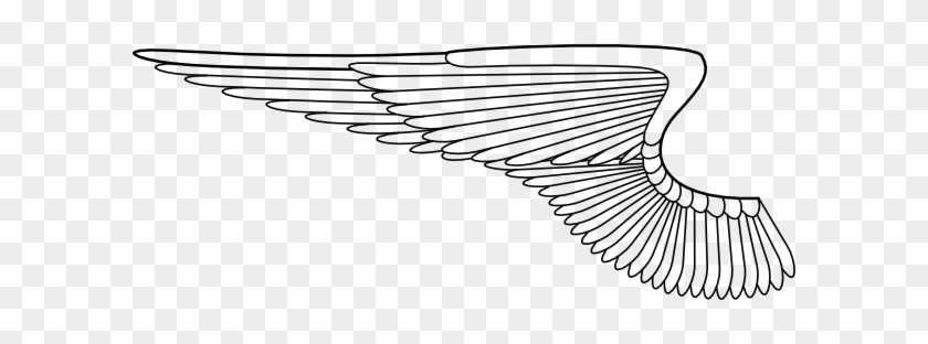 Black Wing Png Images - Macht Der Marke - Virales Marketing Verleiht Red Bull #1235696