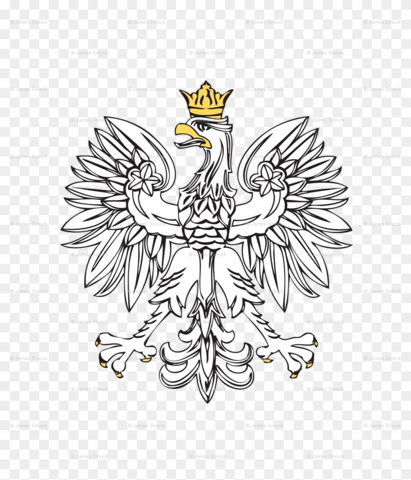 Polish Eagle White #1235698