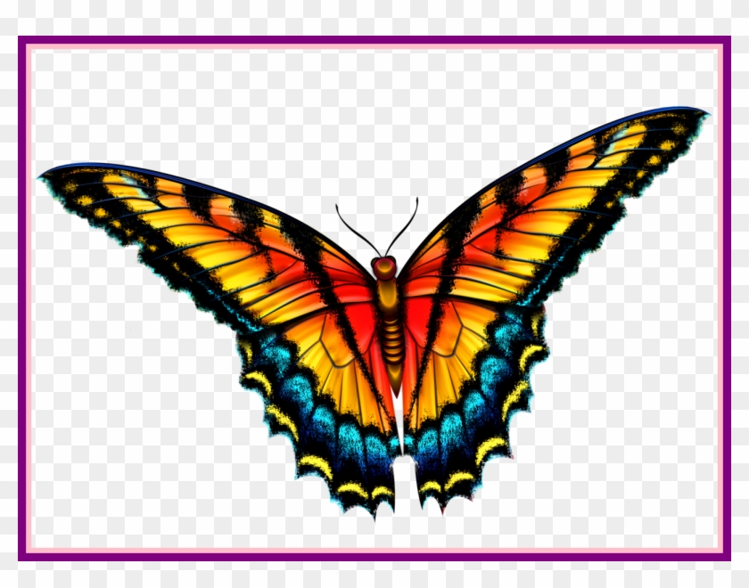 Butterfly Clipart Monarch Butterfly Clipart Free Inspiring - Smokey Mountain Butterflies In Field License Plate #1236079