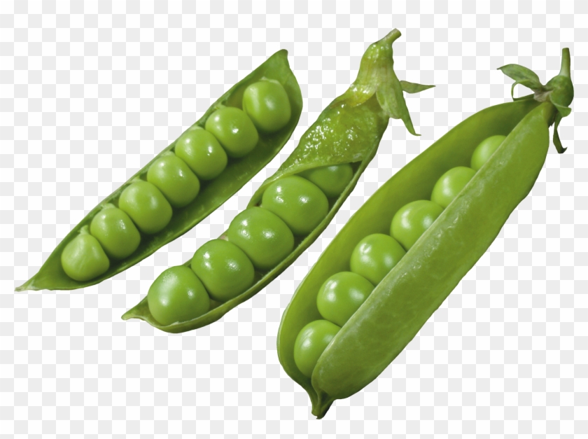 Pea Png - Edamame Pod Png #1236150