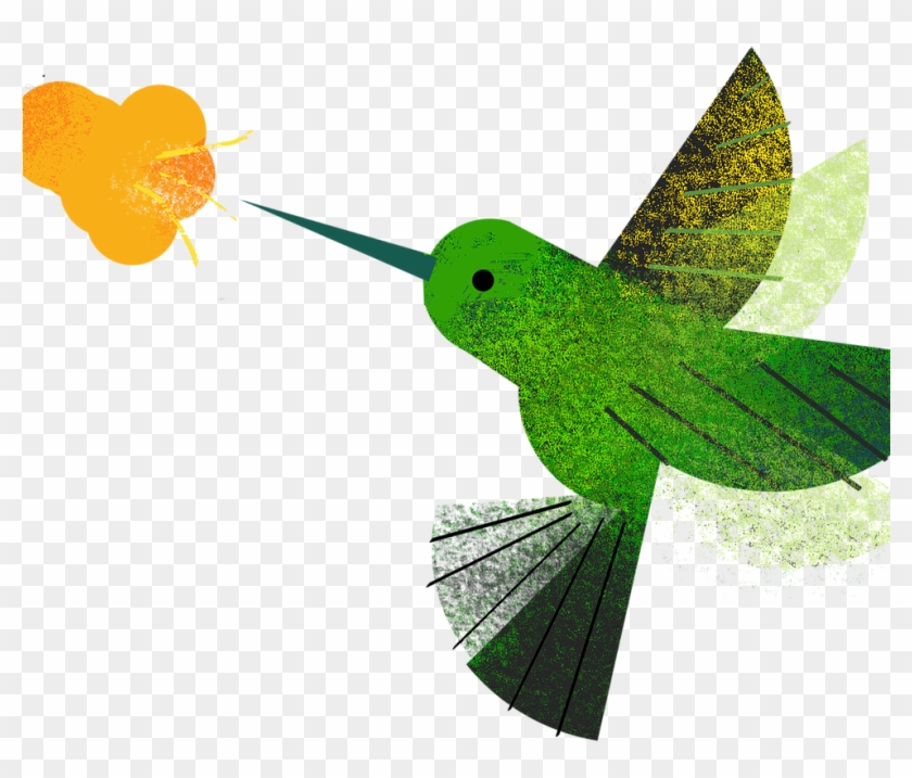 Guainumbiensemble - Jacamar #1236158