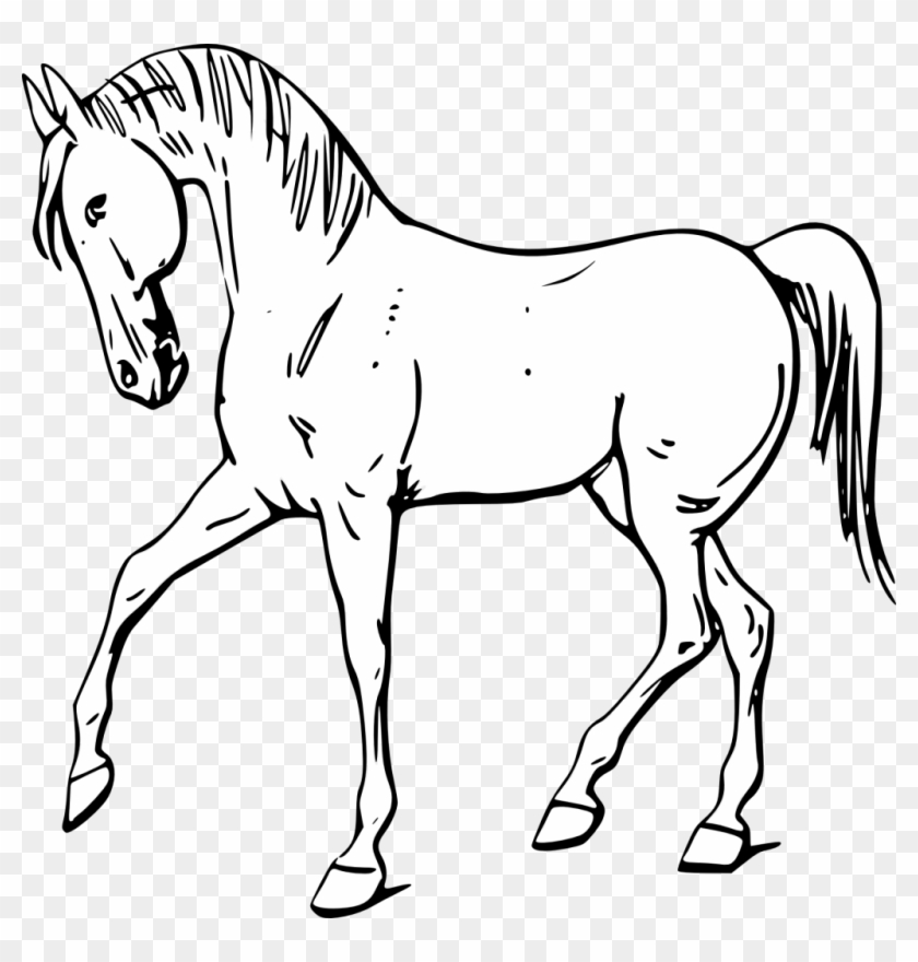 Fantástico Colorear Caballos Componente - Outline Of A Horse #1236184