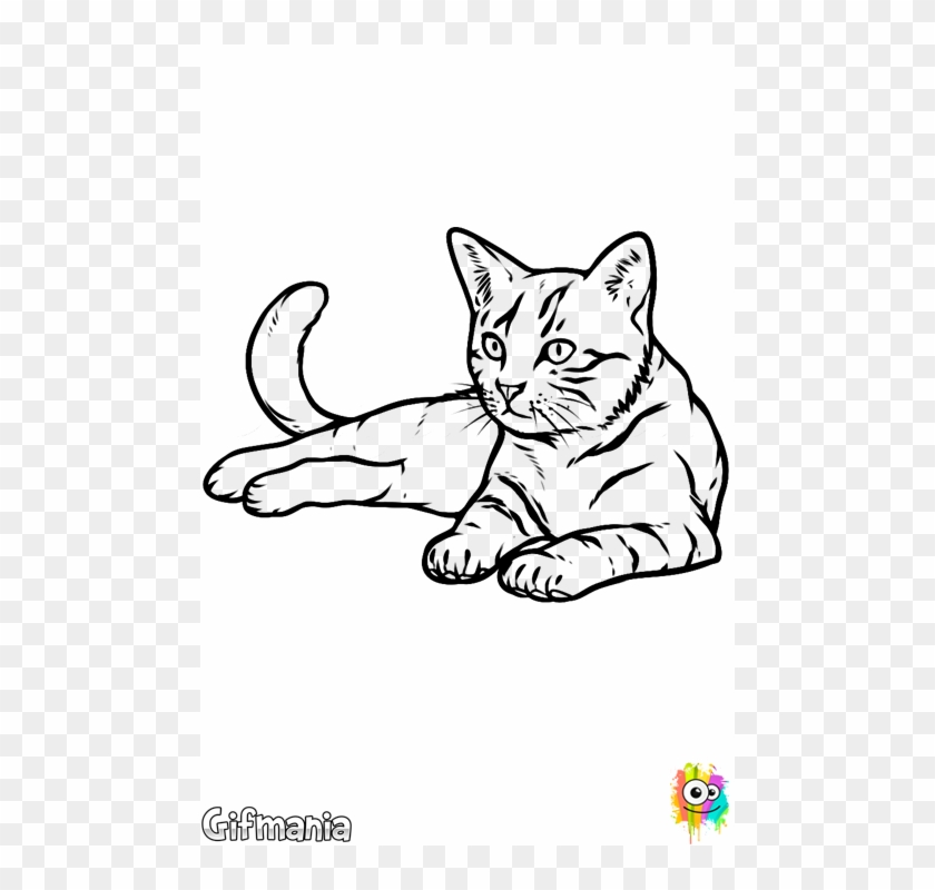 Gato Realista - Drawing Of Cat #1236185