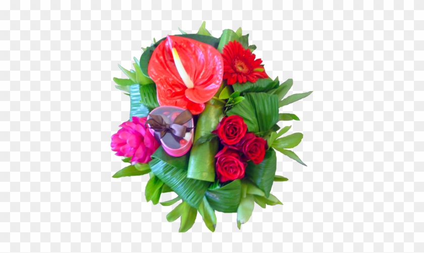 Garden Roses #1236312