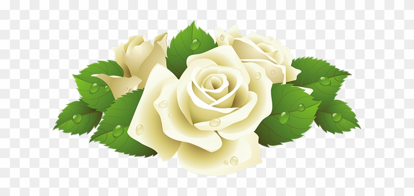 Клипарт Розы На Прозрачном Фоне - White Rose Clip Art Png #1236345