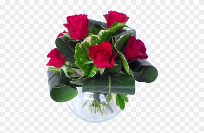 Garden Roses #1236356