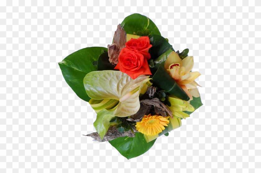 Garden Roses #1236360