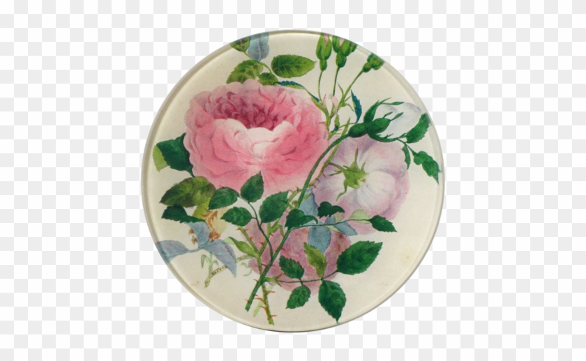 John Derian Rose Sprig Decoupage Plate - John Derian #1236382