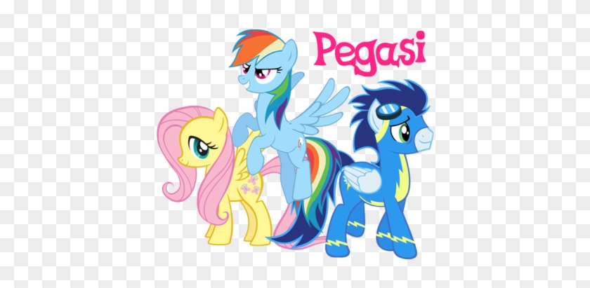 Pegasus @flavor Racial Traits Average Height - My Little Pony Friendship #1236383