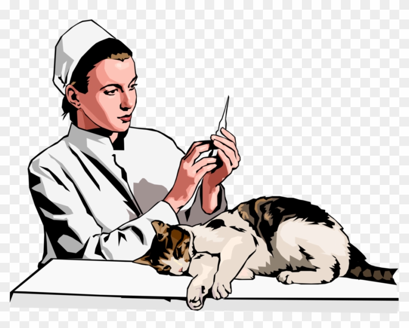 Vector Illustration Of Veterinary Physician Preparing - Domestic Short-haired Cat #1236479