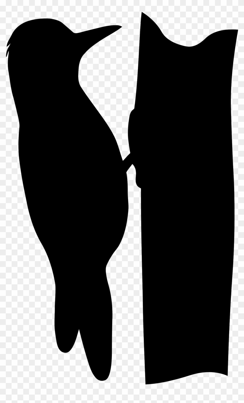 Silhouette - Woodpecker - Woodpecker Silhouette #1236743