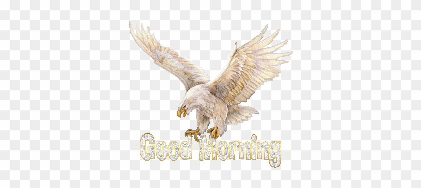 What A Beautiful Friday Morning The Goddess Has Blessed - Good Morning With Eagle #1236873