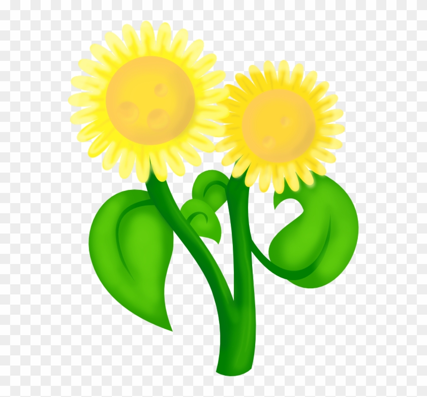 Sunflower #1237325