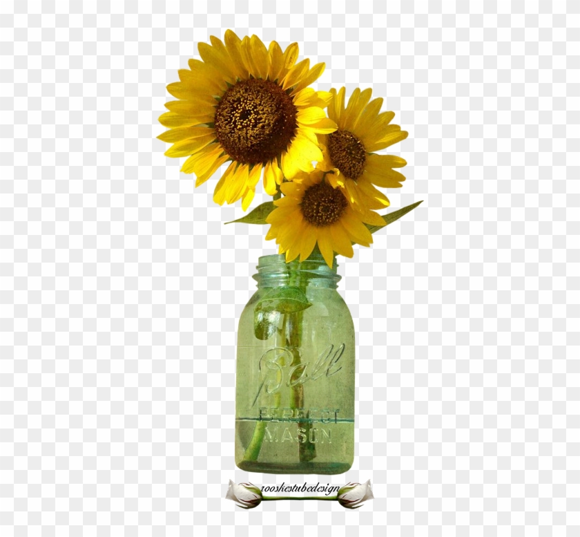 Bloemen Rooskestubedesign Bloem - Sunflower #1237360