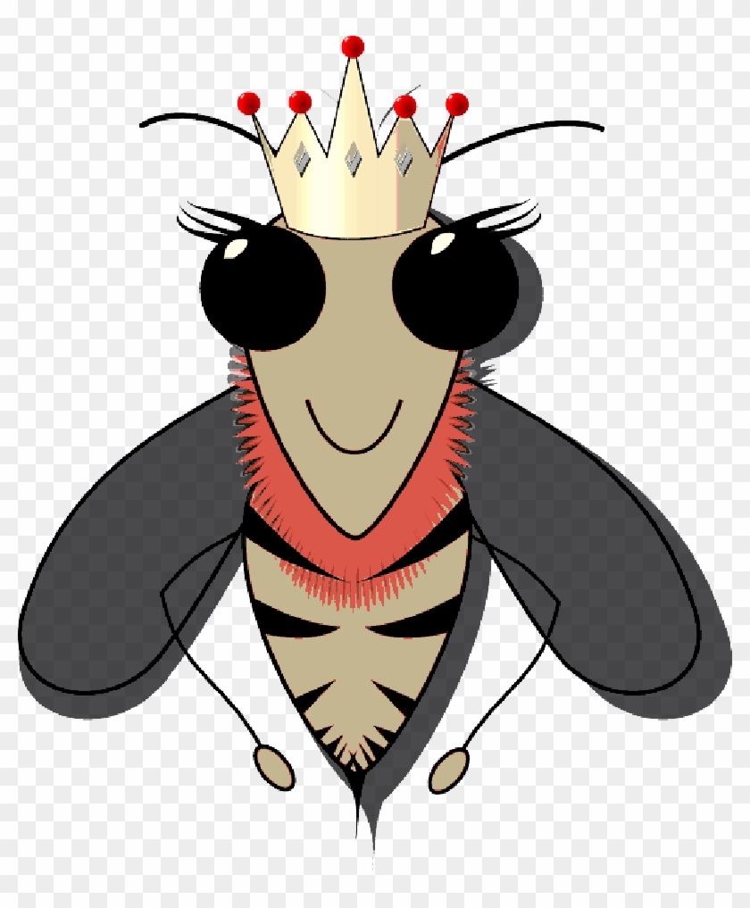 Queen Bee, Bee, Beehive, Beeswax, Hive, Honey - Queen Bee Slip-on Shoes ! #1237971