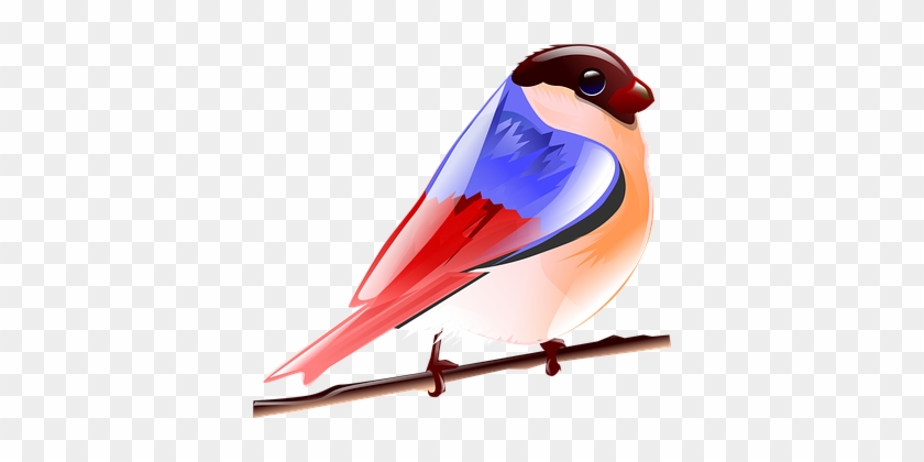 Bird Fly Nature Red Blue Colorful Bird Bir - Birds Cartoon Png Colourful #1238061