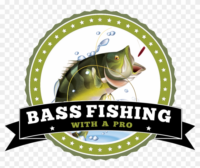 Bass Fishing #1238092