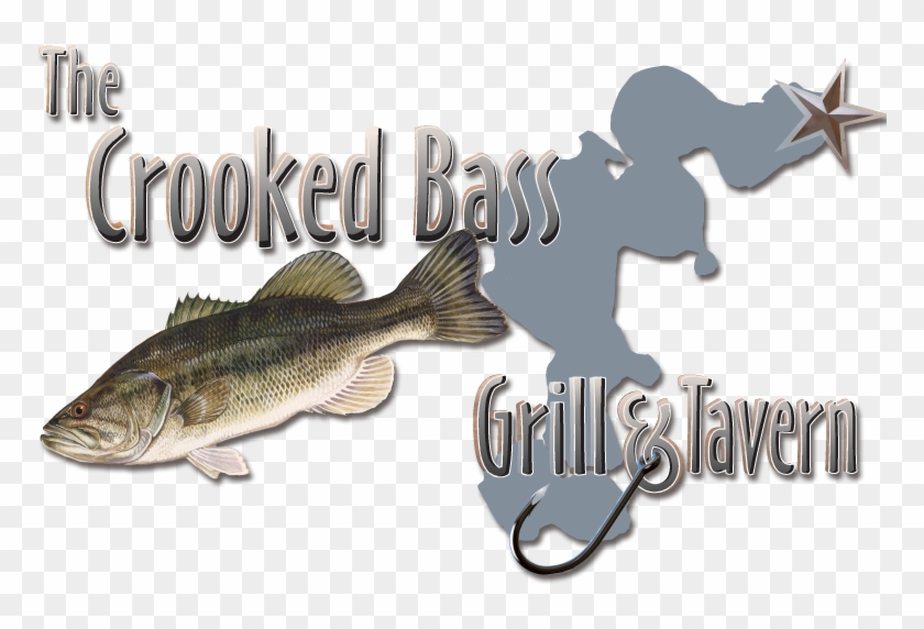 Crooked Bass #1238121
