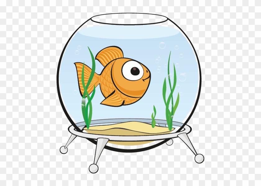 The 'o-fishal' Goldfish Guide - Fish Bowl Cartoon #1238149