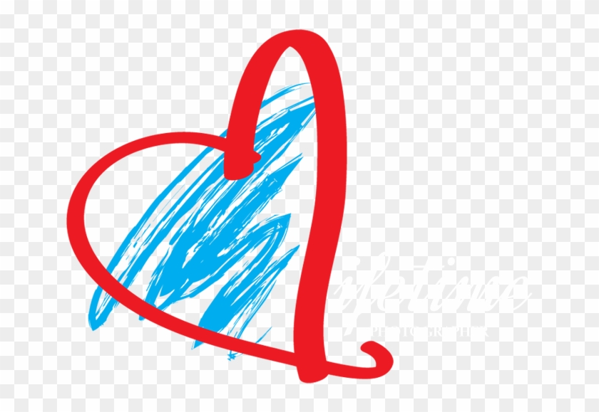 Lifetime Photographer - Lifetime Photographer #1238208