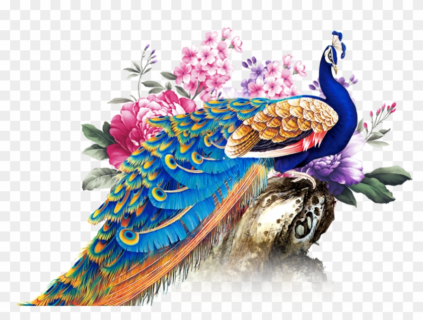 Peafowl Rangoli Graphic Design - Peacock Background - Free Transparent PNG  Clipart Images Download