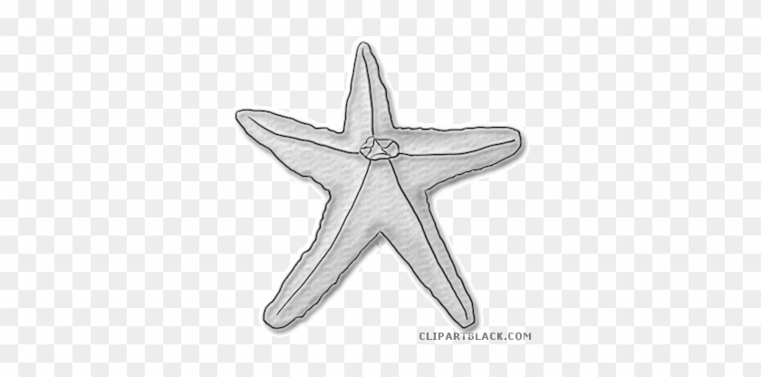 Starfish Animal Free Black White Clipart Images Clipartblack - Starfish #1239137