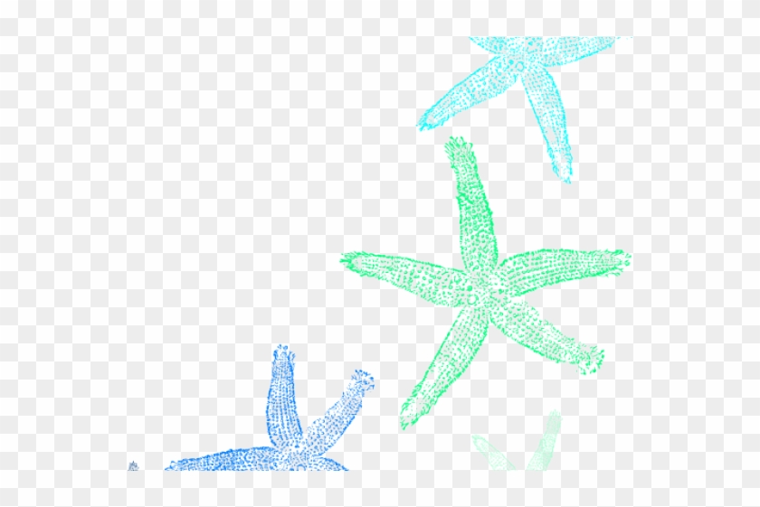 Star Ocean Clipart Starfish - Fish Clip Art #1239161