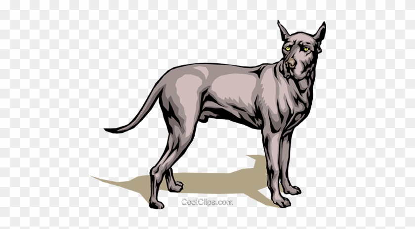 Great Dane Royalty Free Vector Clip Art Illustration - Clip Art #1239250